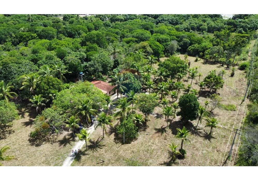 Chácara / Sítio / Fazenda - Venda - Alagoinhas , Bahia - IMG_3144.JPG - 580701051-4