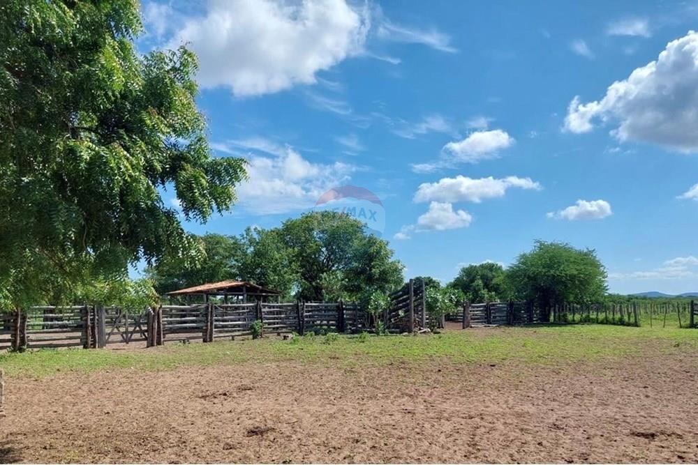 Chácara / Sítio / Fazenda - Venda - Ibotirama , Bahia - 9425c602-f0fe-4511-8c31-a9d7a59adabf.jpg - 580831002-154