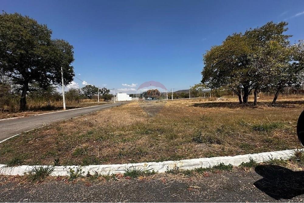 Terreno - Venda - Barreiras , Bahia - IMG-20241117-WA0011.jpg - 580651049-89