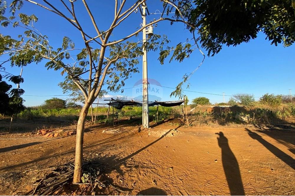 Terreno - Venda - Irecê , Bahia - bcd0d28c-b006-4222-92c0-6a9c7355c25e.jpeg - 580841008-85