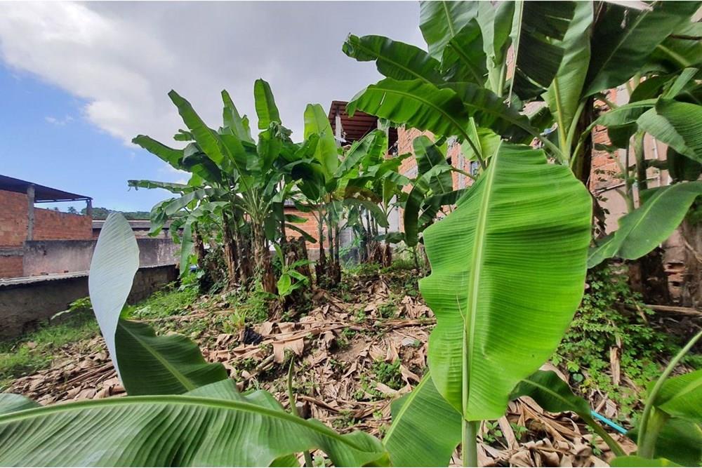 Ponto Comercial/ Loja - Venda - Salvador , Bahia - 16.jpg - 580551059-63