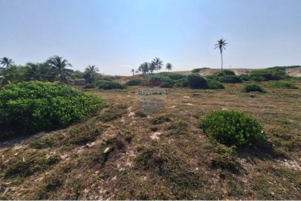 Terreno - Venda - Conde , Bahia - terrenoavendaemsitiodoconde580691012-93_06.jpg - 580691012-93