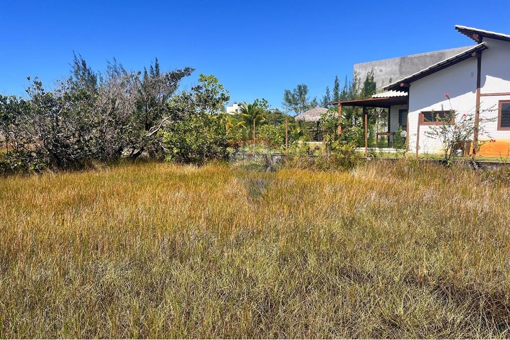 Terreno - Venda - Entre Rios , Bahia - Terreno Sauipe13.jpg - 580491009-81