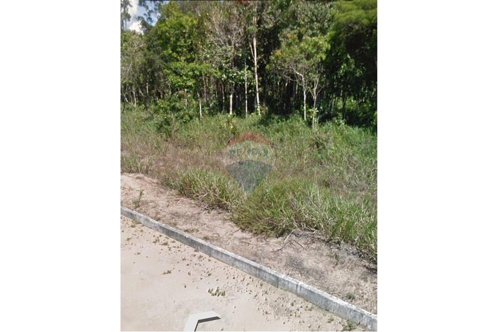 Terreno - Venda - Porto Seguro , Bahia - WhatsApp Image 2025-10-17 at 10.07.36.jpeg - 580581006-77