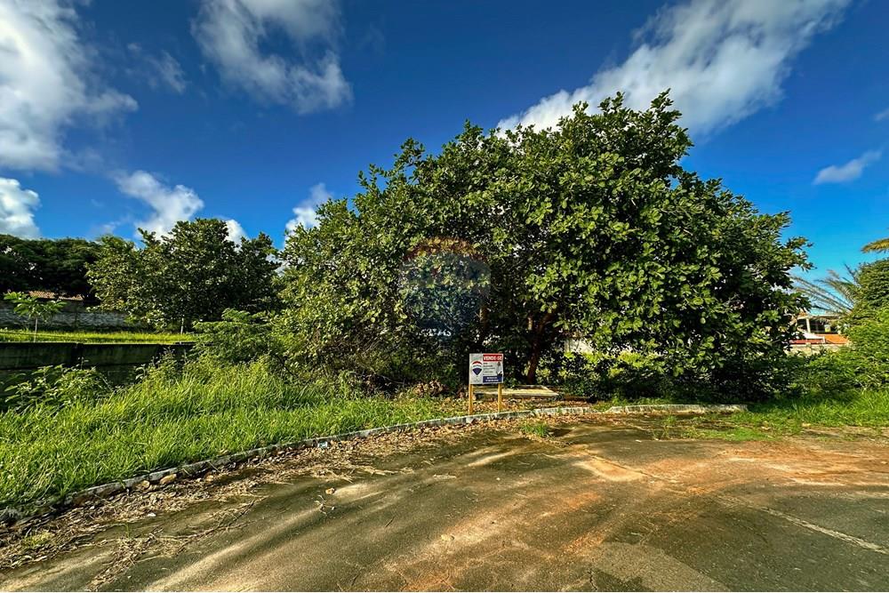 Terreno - Venda - Camaçari , Bahia - Booni 8.jpg - 580491004-96