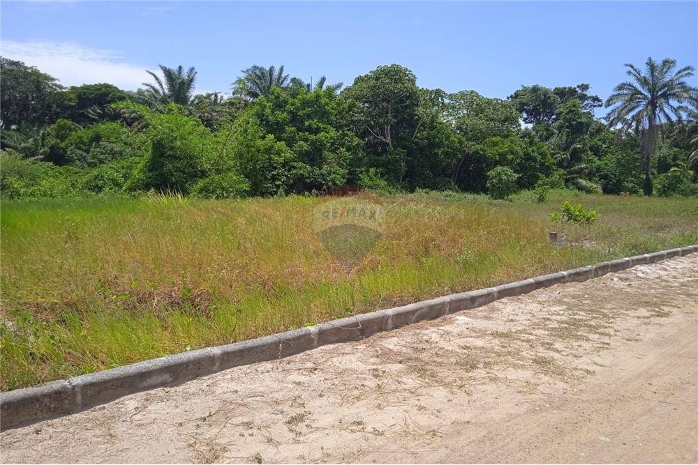 Terreno - Venda - Vera Cruz , Bahia - 11 - 580551004-123