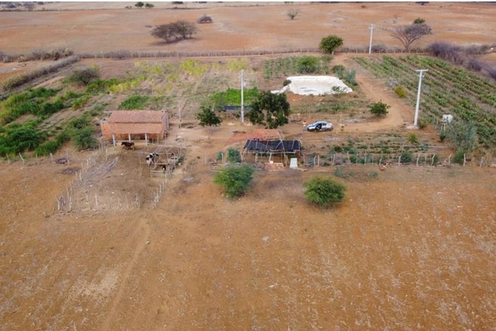 Terreno - Venda - Irecê , Bahia - f254c0de-8b16-46b1-93ed-03335c8061b6.jpeg - 580841008-85