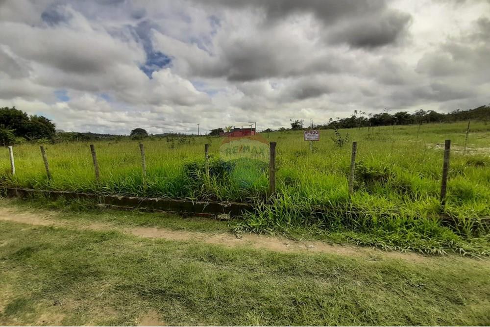 Terreno - Venda - Aramari , Bahia - WhatsApp Image 2025-06-27 at 17.15.10.jpeg - 580701044-29