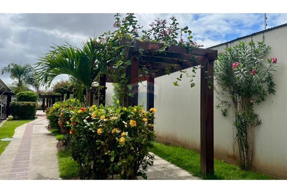 Apartamento - Alugar - Alagoinhas , Bahia - IMG-20250811-WA0038.jpg - 580701034-88