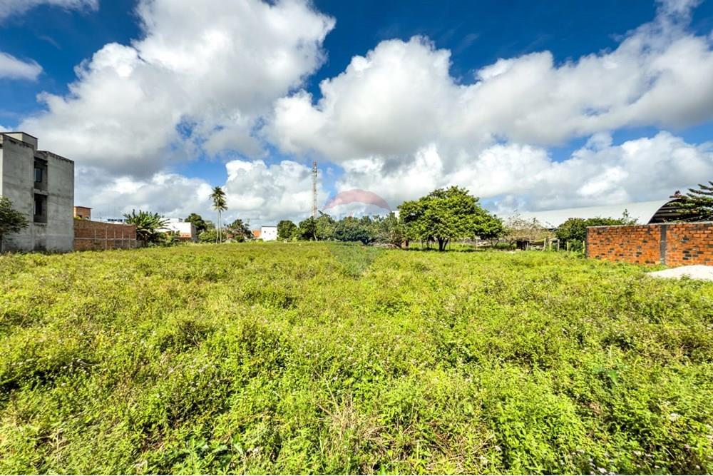 Terreno - Venda - Santo Antônio de Jesus , Bahia - WhatsApp Image 2025-08-09 at 07.29.38 (1).jpeg - 580341012-144