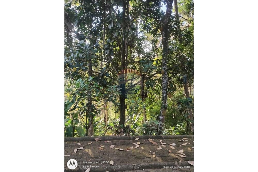 Terreno - Venda - Itacaré , Bahia - WhatsApp Image 2025-10-01 at 13.39.01.jpeg - 580331013-747