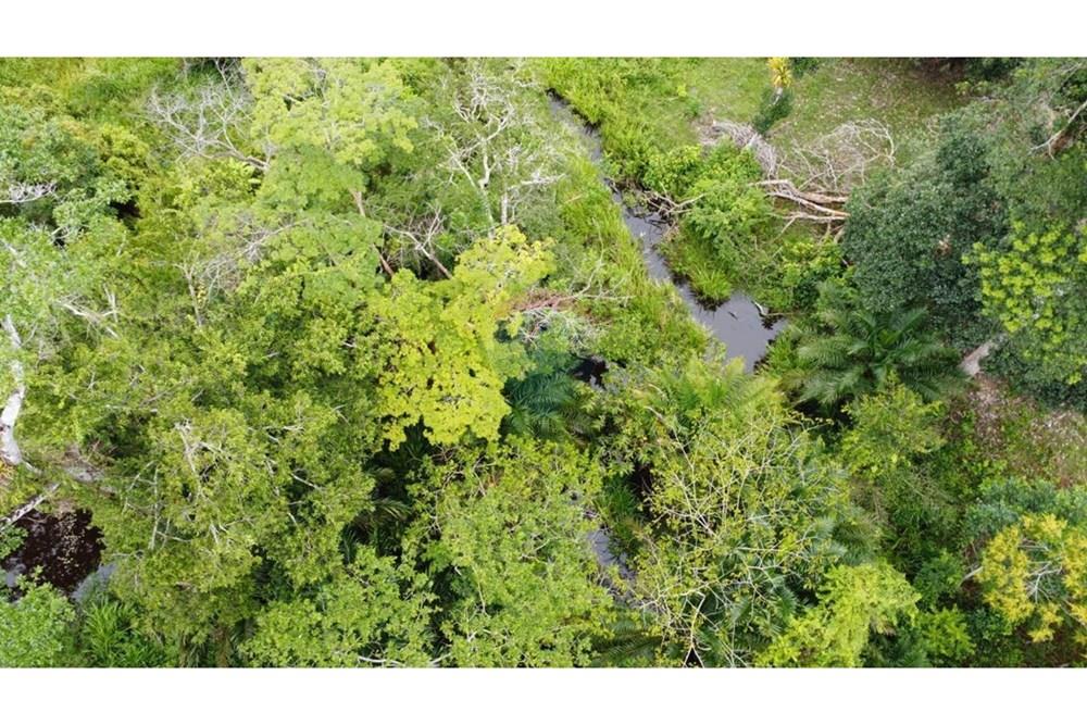 Chácara / Sítio / Fazenda - Venda - Itamaraju , Bahia - WhatsApp Image 2025-02-23 at 10.01.55 (1).jpeg - 580751001-262