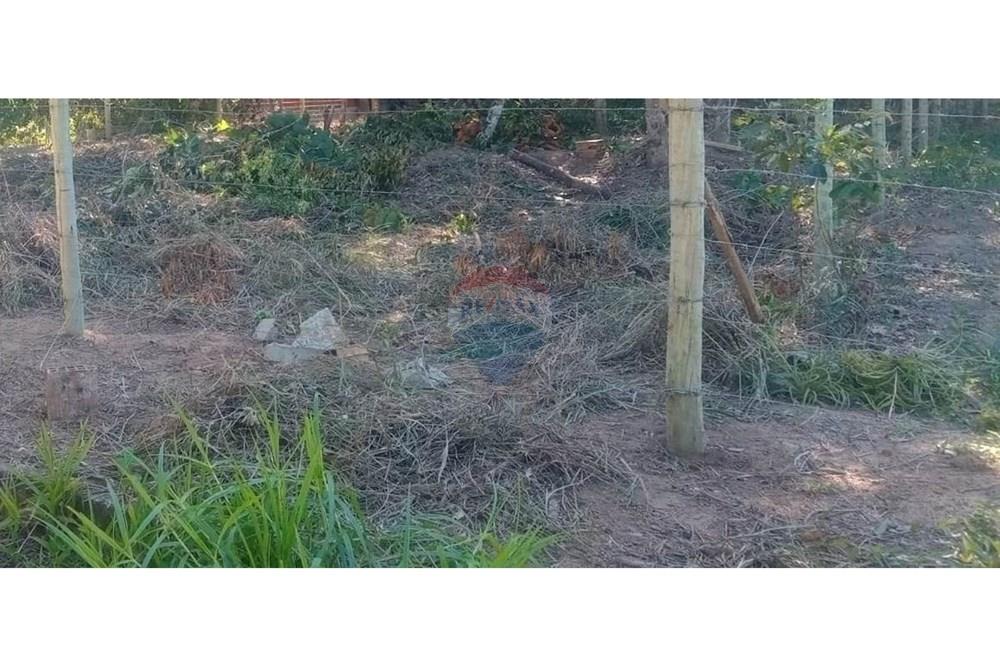 Terreno - Venda - Porto Seguro , Bahia - Imagem do WhatsApp de 2025-10-25 à(s) 21.15.07_a4578bba.jpg - 580581018-53