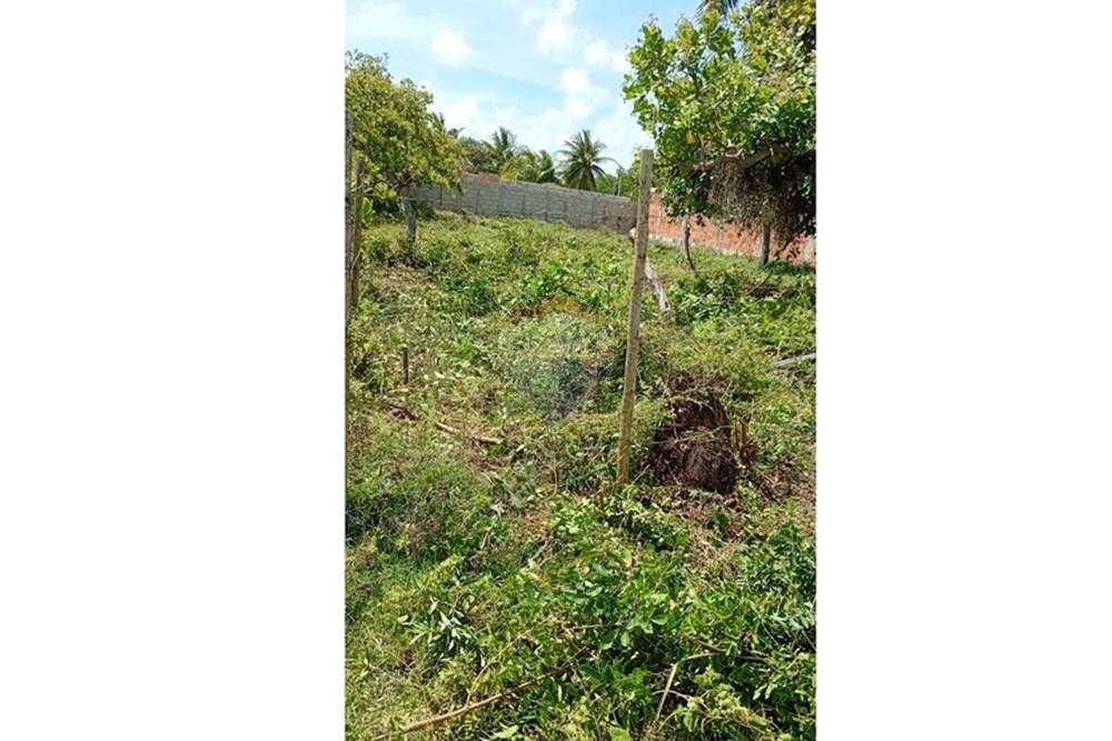 Terreno - Venda - Entre Rios , Bahia - 4676ad0b-4cf7-4633-a4b5-6b5157a4b7c9.jpg - 580701006-54