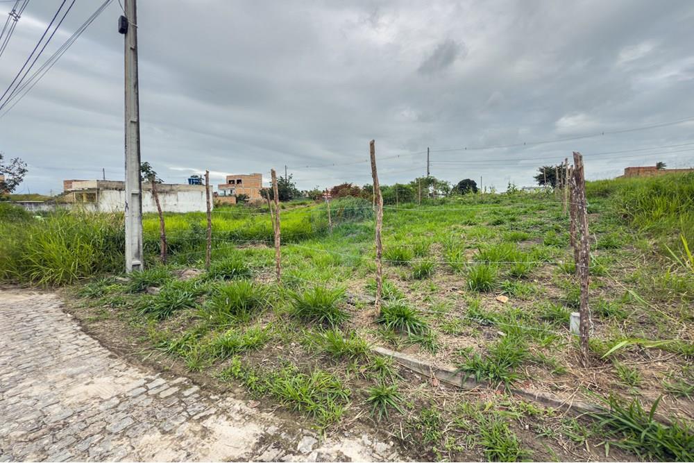 Terreno - Venda - Santo Antônio de Jesus , Bahia - IMG_1216 (1).jpg - 580341014-39