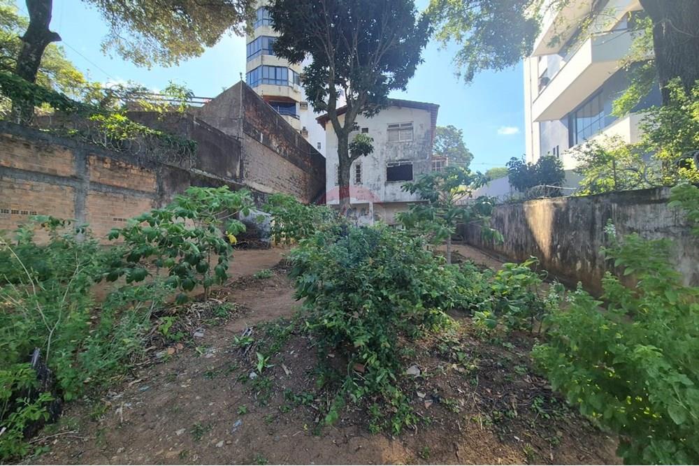 Casa - Alugar - Salvador , Bahia - FOTO 86.jpeg - Quintal - 580561027-139
