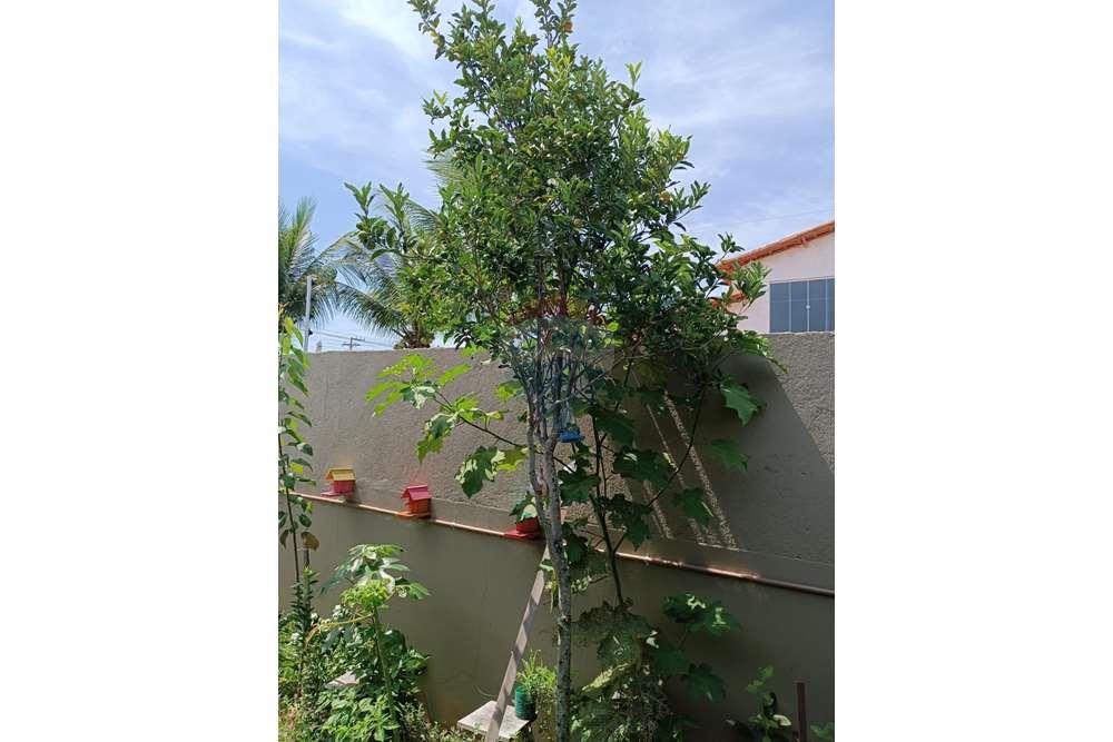 Casa - Venda - Alcobaça , Bahia - WhatsApp Image 2024-02-05 at 11.48.30 (2).jpeg - 580431021-136