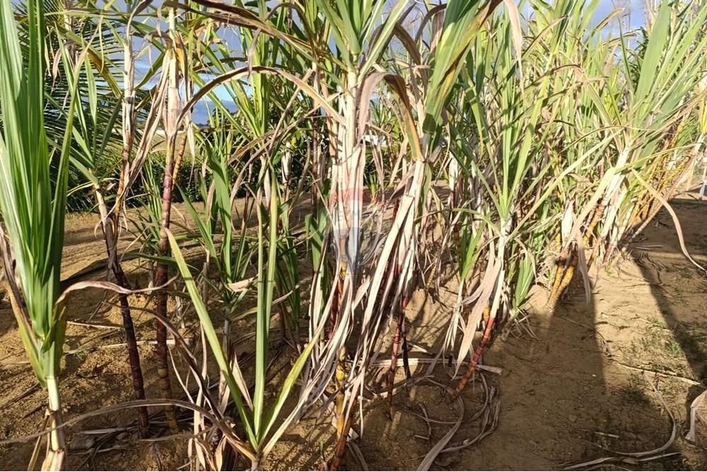 Studio - Venda - Vitória da Conquista , Bahia - F16.jpg - 580831002-163