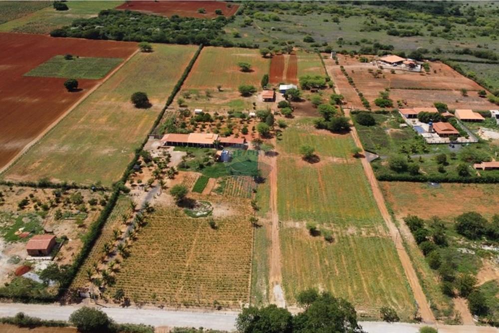 Chácara / Sítio / Fazenda - Venda - Irecê , Bahia - WhatsApp Image 2025-01-29 at 23.17.45 (5).jpeg - 580841006-7