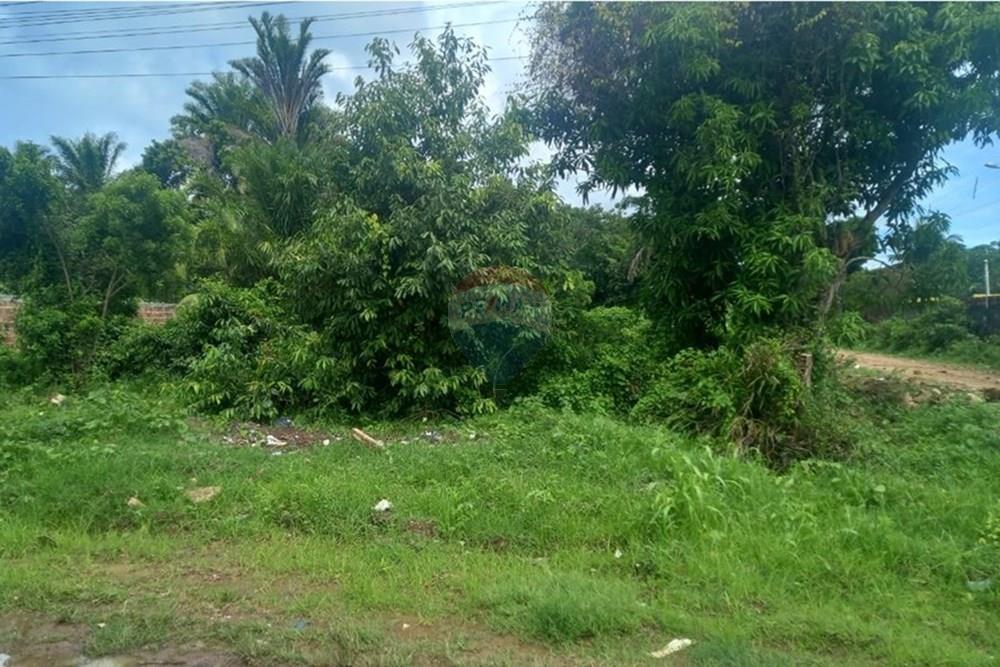 Terreno - Venda - Itaparica , Bahia - WhatsApp Image 2025-03-17 at 14.06.46 (2).jpeg - 580401026-48