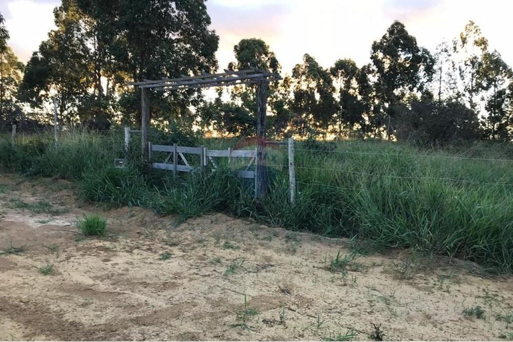 Chácara / Sítio / Fazenda - Venda - Vitória da Conquista , Bahia - WhatsApp Image 2025-05-29 at 14.13.48 (1).jpeg - 580831002-80