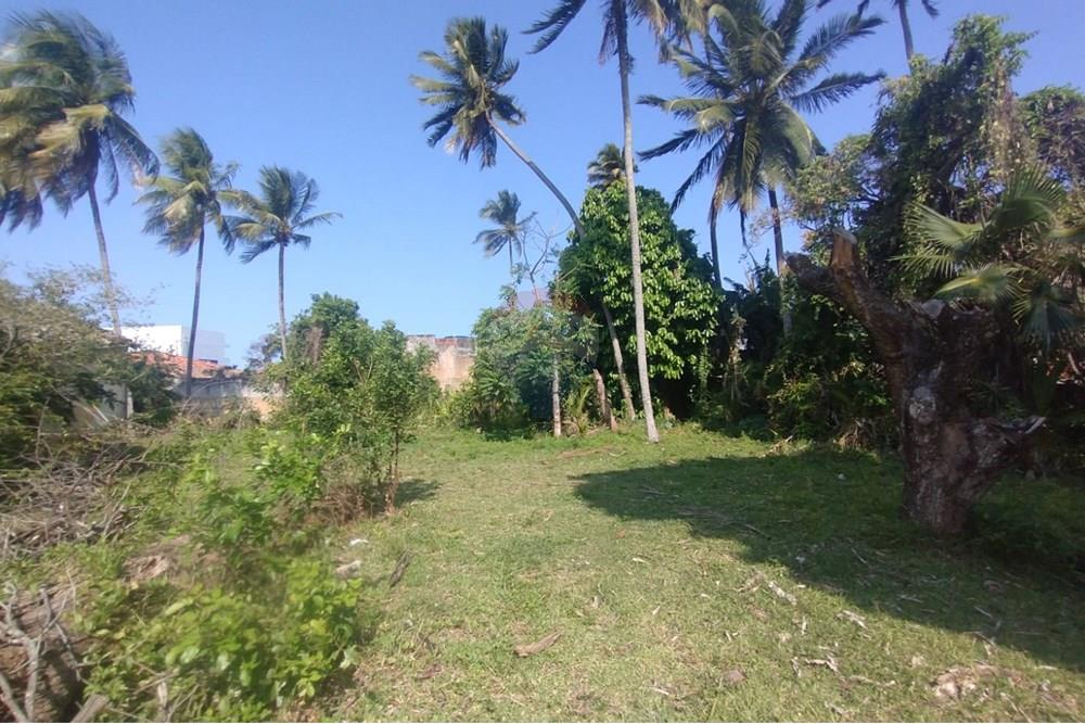 Terreno - Venda - Vera Cruz , Bahia - WhatsApp Image 2024-11-23 at 06.42.42 (2).jpeg - 580401026-39