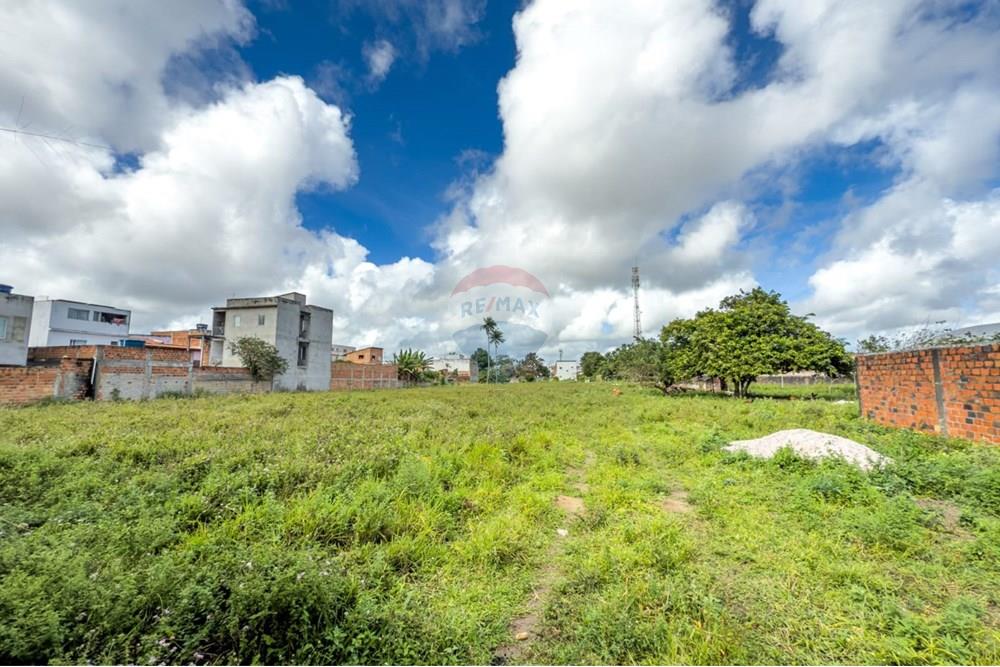 Terreno - Venda - Santo Antônio de Jesus , Bahia - WhatsApp Image 2025-08-09 at 07.29.39.jpeg - 580341012-144