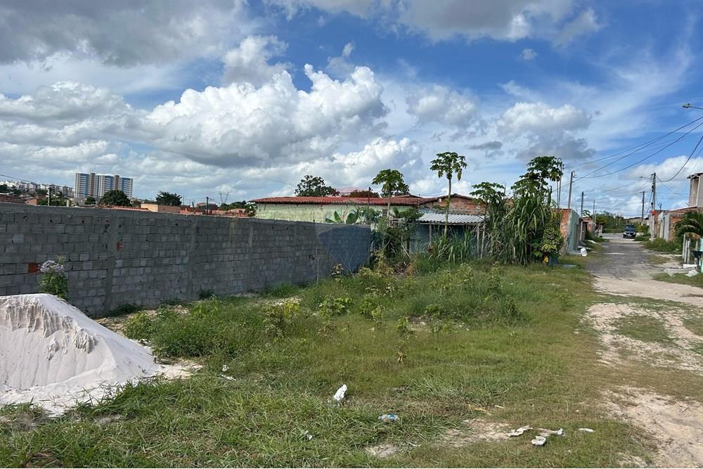 Terreno - Venda - Alagoinhas , Bahia - WhatsApp Image 2025-02-17 at 15.17.05(3).jpeg - 580701006-44