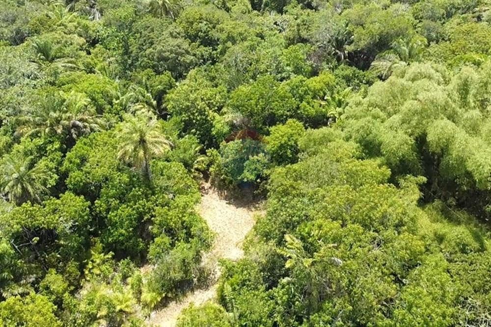 Terreno - Venda - Vera Cruz , Bahia - dji_fly_20250215_105531_0_1739627731782_photo_low_quality.jpg - 580401002-406