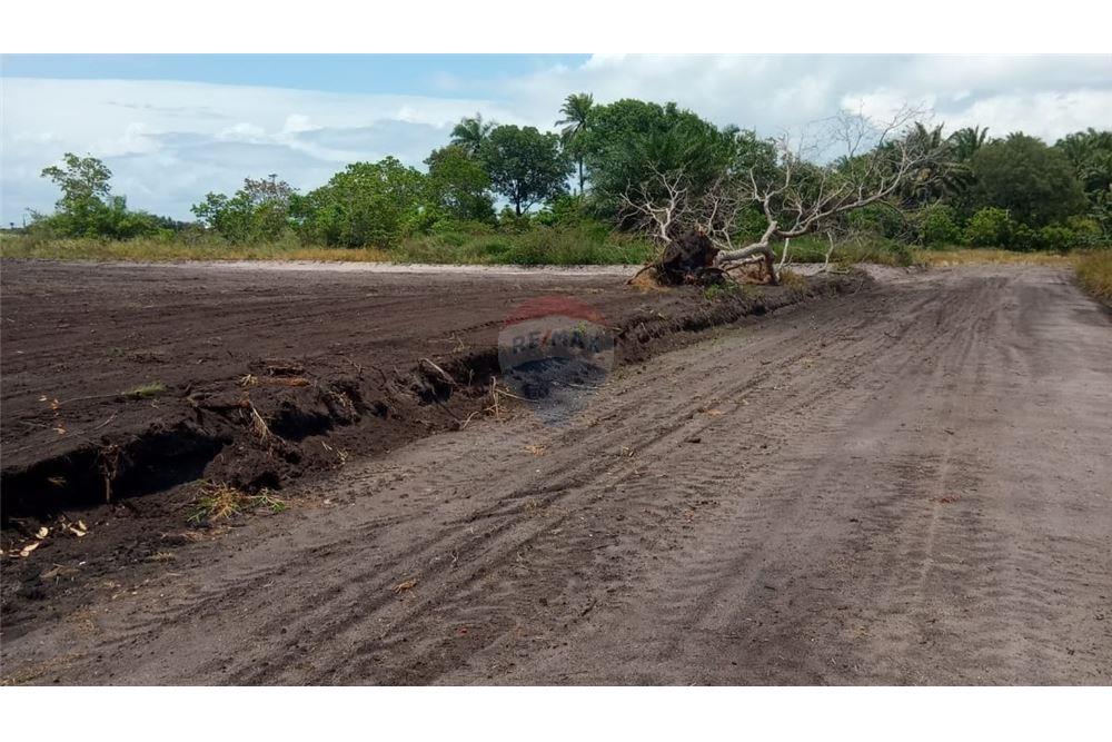 Terreno - Venda - Salinas da Margarida , Bahia - 6 - 580401002-399