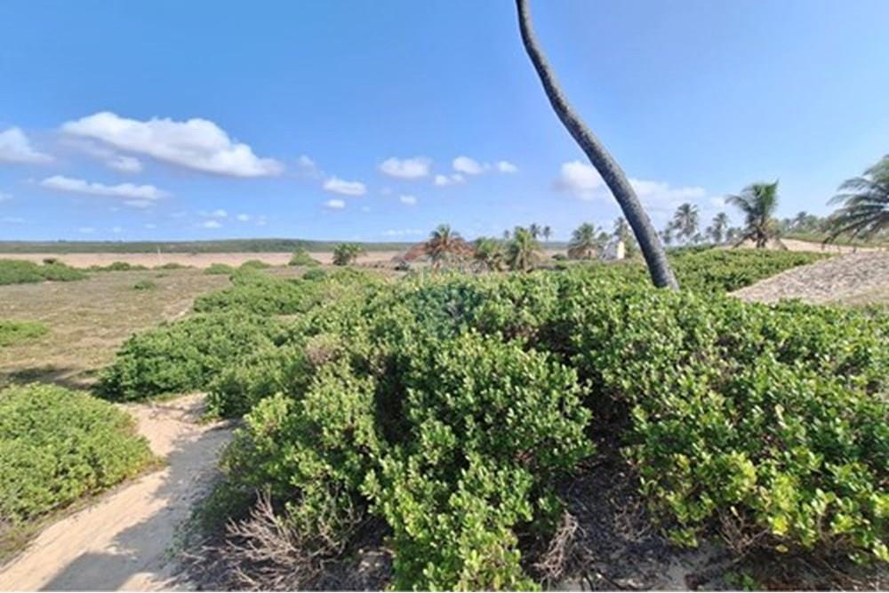 Terreno - Venda - Conde , Bahia - terrenoavendaemsitiodoconde580691012-93_16.jpg - 580691012-93