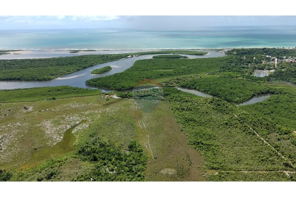 Agro - Venda - Santa Cruz Cabrália , Bahia - IMG-20250309-WA0013.jpg - 580581034-35