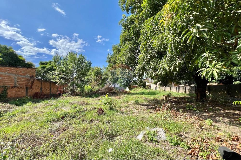 Terreno - Venda - Barreiras , Bahia - WhatsApp Image 2025-04-14 at 15.59.01.jpeg - 580651041-77