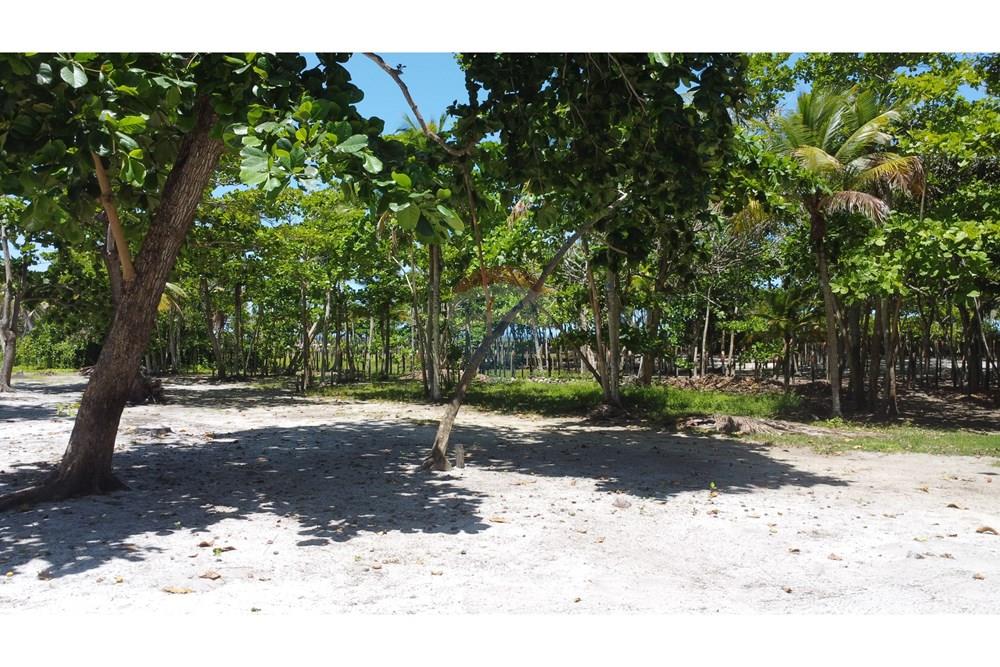 Terreno - Venda - Prado , Bahia - DJI_0130.JPG - 580431021-126