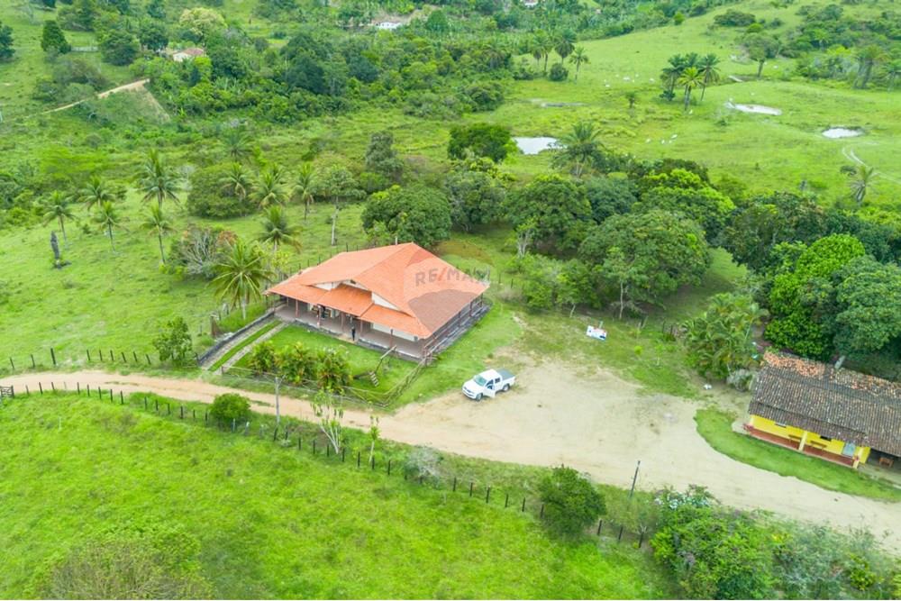 Chácara / Sítio / Fazenda - Venda - Ubaíra , Bahia - WhatsApp Image 2024-12-17 at 14.37.18 (3).jpeg - 580341012-76