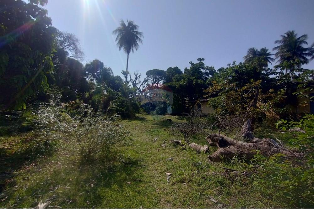 Terreno - Venda - Vera Cruz , Bahia - WhatsApp Image 2024-11-23 at 06.42.42 (1).jpeg - 580401026-39