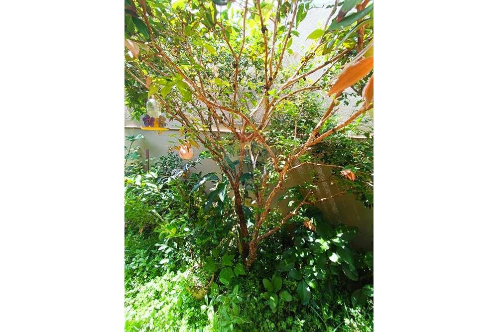 Casa - Venda - Alcobaça , Bahia - WhatsApp Image 2024-02-05 at 11.48.29 (3).jpeg - 580431021-136