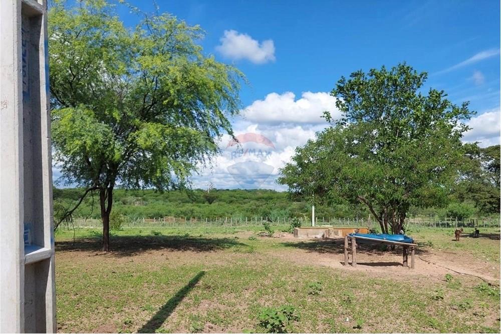 Chácara / Sítio / Fazenda - Venda - Ibotirama , Bahia - 9c9ec57a-fb11-4c6d-ab3d-d1f153820e0d.jpg - 580831002-154