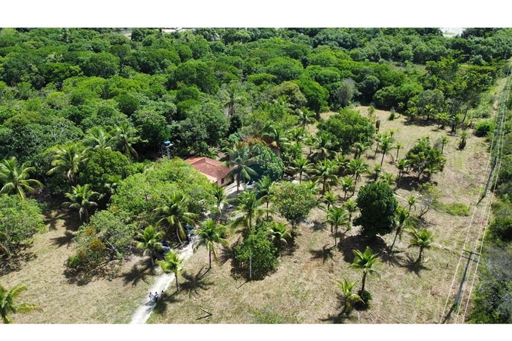 Chácara / Sítio / Fazenda - Venda - Alagoinhas , Bahia - IMG_3144 (1).JPG - 580701051-4