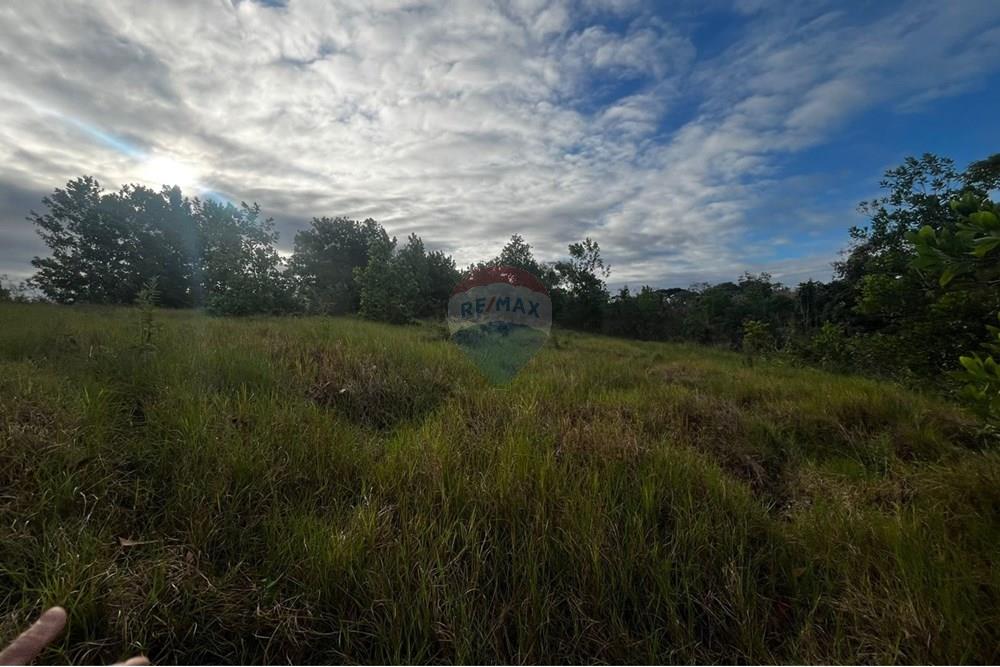 Chácara / Sítio / Fazenda - Venda - Prado , Bahia - Imagem do WhatsApp de 2025-08-25 à(s) 11.02.07_1fb331f8.jpg - 580751013-70