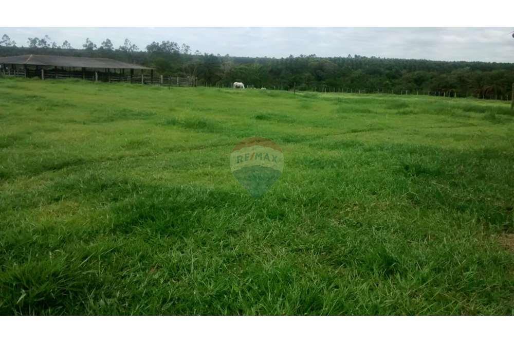 Chácara / Sítio / Fazenda - Venda - Teixeira de Freitas , Bahia - WhatsApp Image 2024-05-13 at 16.09.17 (3).jpeg - 580411003-292