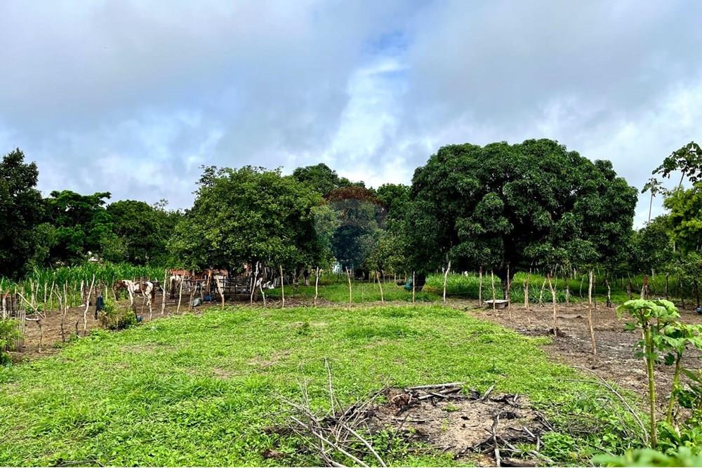 Terreno - Venda - Alagoinhas , Bahia - IMG-20250618-WA0019.jpg - 580701026-46