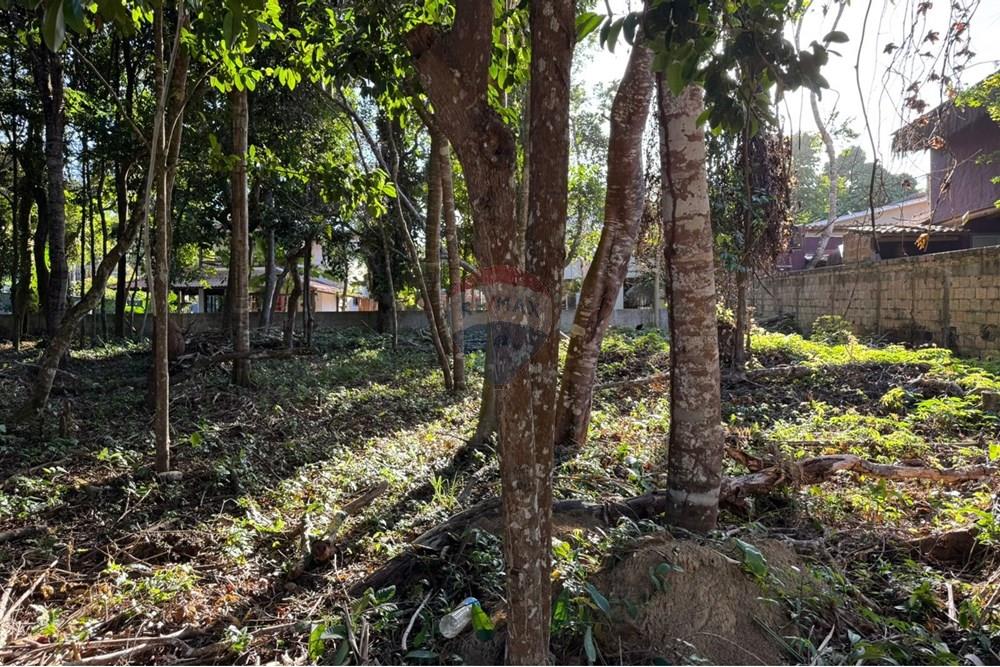 Terreno - Venda - Porto Seguro , Bahia - b670f1dc-0a2c-4a95-b9f3-57bc6a0b04d9.jpg - 580581002-126