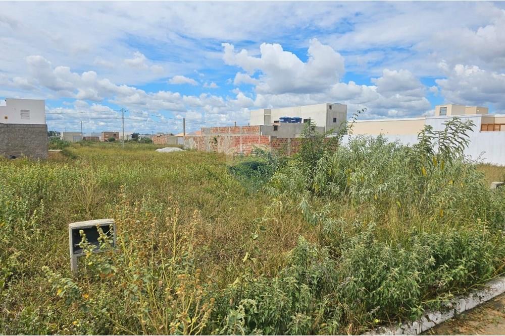 Terreno - Venda - Vitória da Conquista , Bahia - IMAGEM TERRENO 03.jpg - 580831002-106