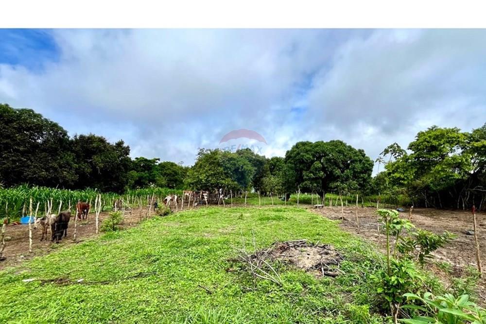 Terreno - Venda - Alagoinhas , Bahia - IMG-20250618-WA0018.jpg - 580701026-46