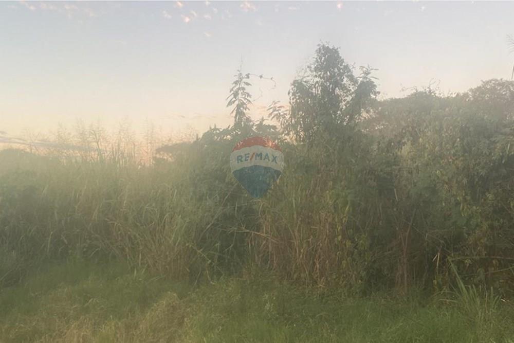 Terreno - Venda - Barreiras , Bahia - WhatsApp Image 2025-05-20 at 10.34.41 (6).jpeg - 580651055-59