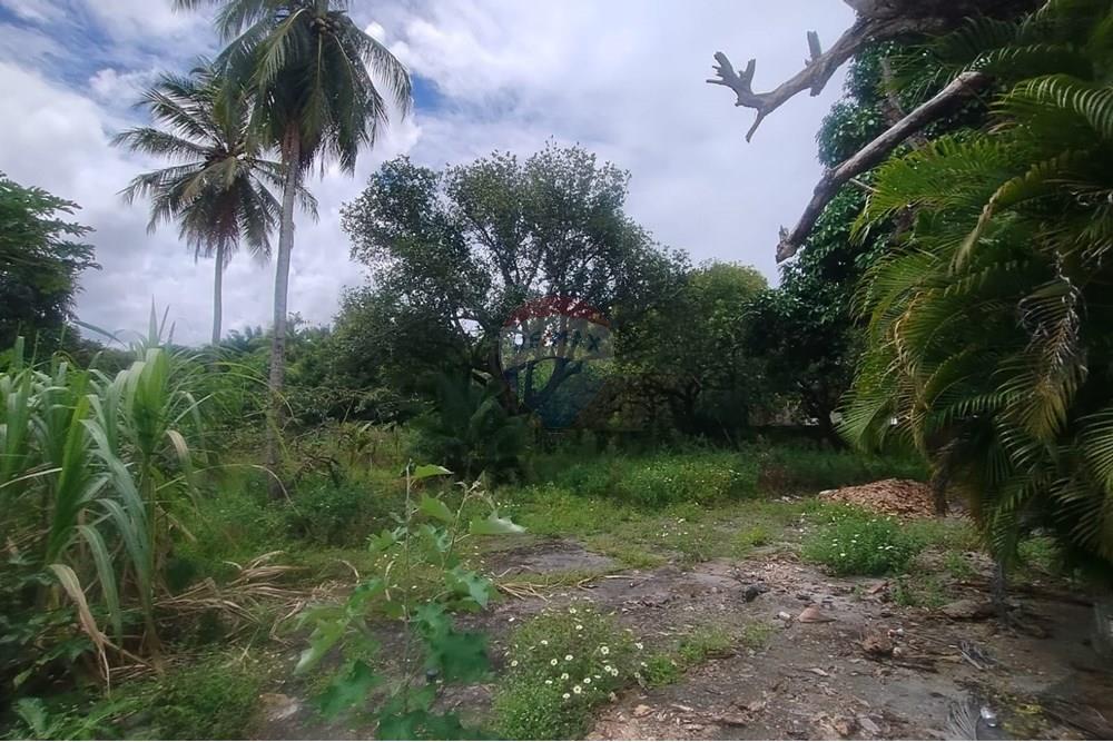 Terreno - Venda - Camaçari , Bahia - WhatsApp Image 2025-10-28 at 14.54.21 (3).jpeg - 580561046-234