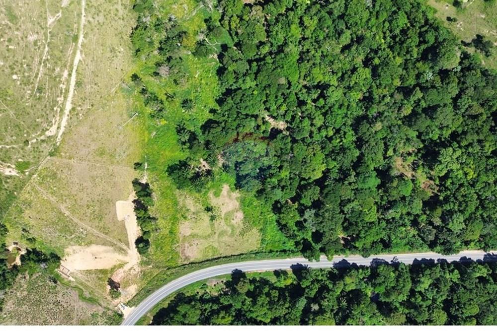 Chácara / Sítio / Fazenda - Venda - Itamaraju , Bahia - SIDNEI.2.jpg - 580751013-66