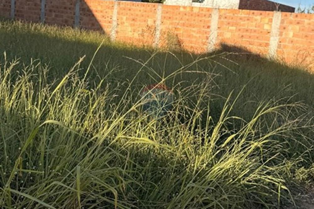 Terreno - Venda - Vitória da Conquista , Bahia - WhatsApp Image 2025-06-09 at 19.45.05 (1).jpeg - 580831002-110