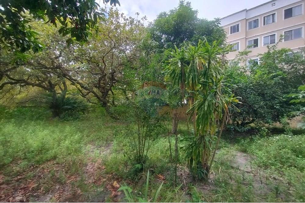 Terreno - Venda - Camaçari , Bahia - WhatsApp Image 2025-10-28 at 14.54.22.jpeg - 580561046-234